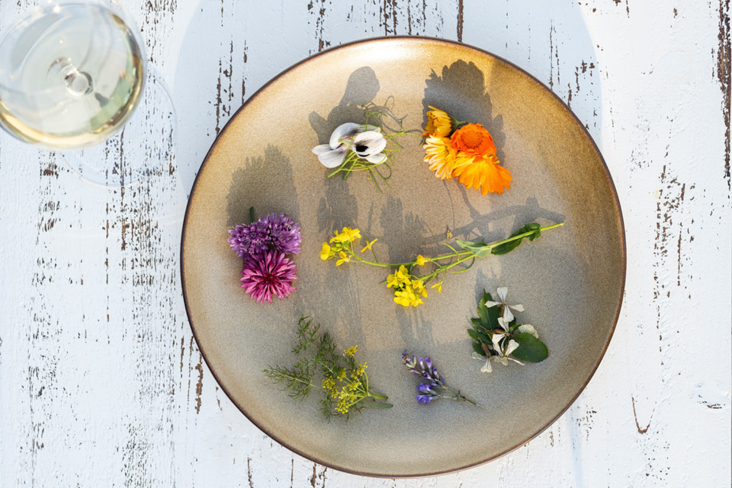 Petal to Plate: Cooking with Edible Flowers