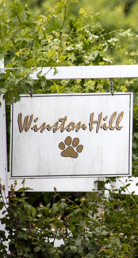 Winston Hill sign on a fence