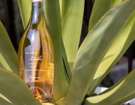 A bottle of Frank Family's Leslie Rosé sitting between the branches of a cactus