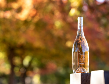 A bottle of Leslie Rosé in front of fall foliage