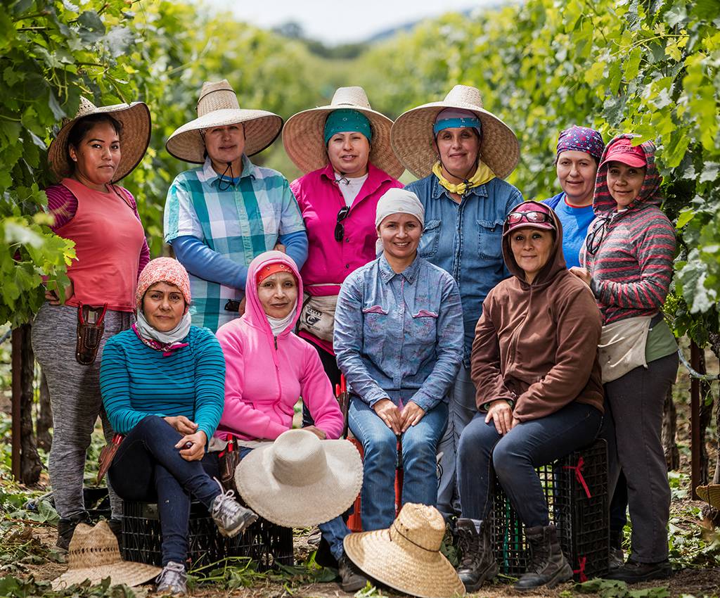 A group picture of workers from the vineyard