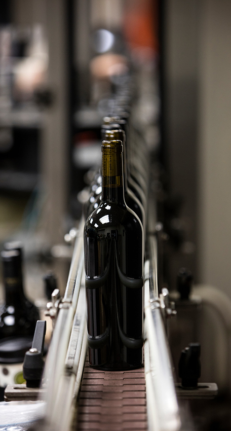 Wine bottles on a conveyer belt getting prepped for sale